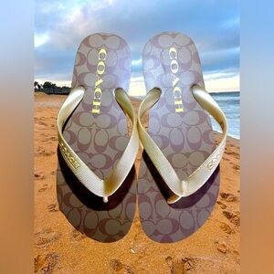 Coach Ladies Flip Flops Jacquard C Brown/Bronze Sz 7